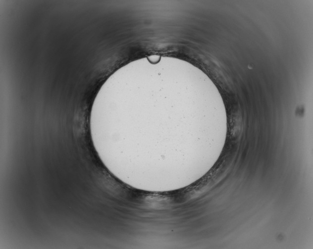 X0000102350515200808291204
