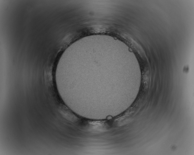 X0000102350516200808291204