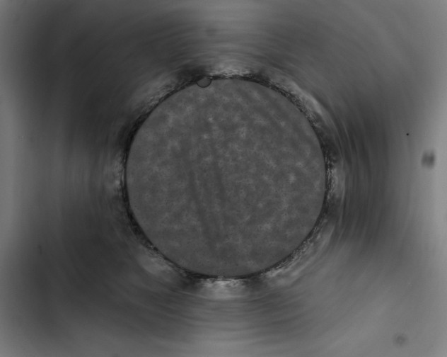 X0000102350517200808291204