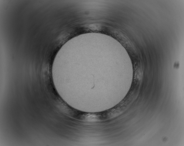 X0000102350518200808291204
