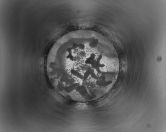 X0000102350519200808291204