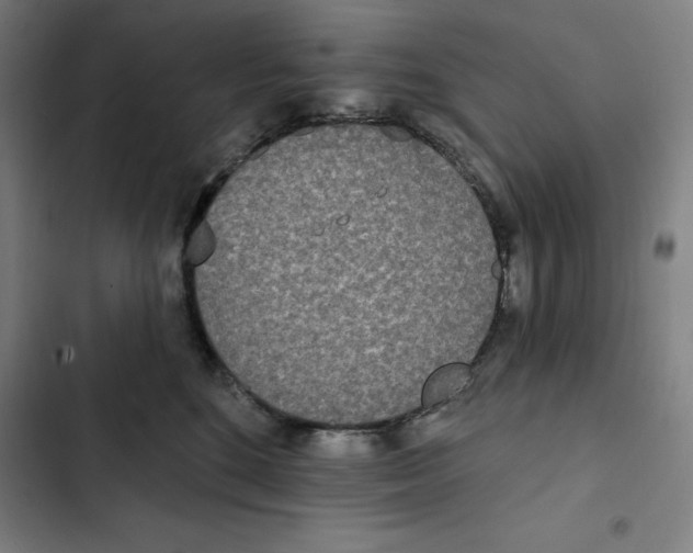 X0000102350520200808291204