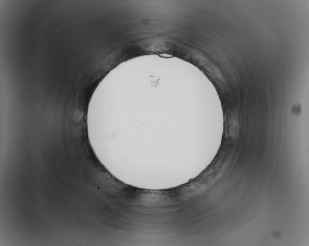 X0000102350521200808291204