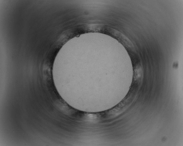 X0000102350522200808291204
