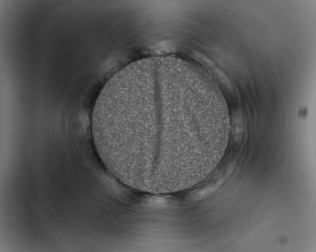X0000102350523200808291204