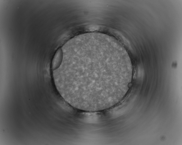 X0000102350524200808291204