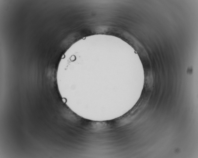 X0000102350525200808291204