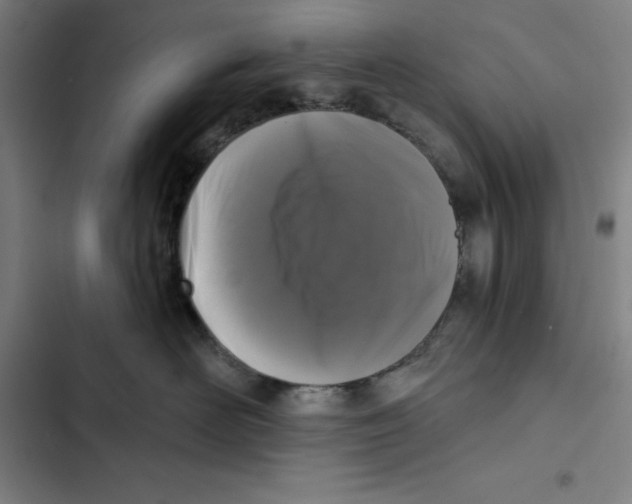 X0000102350526200808291204