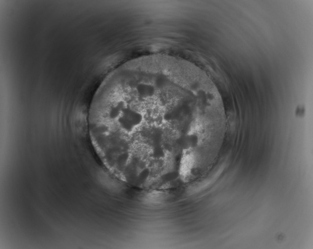 X0000102350527200808291204