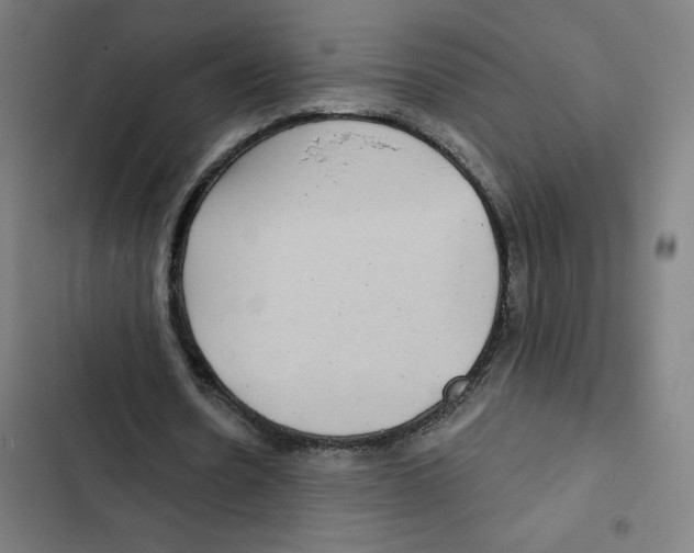 X0000102350530200808291203