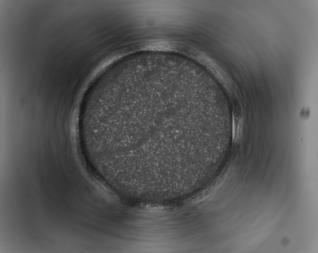 X0000102350531200808291203