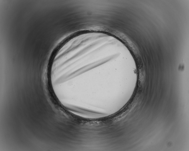 X0000102350532200808291203