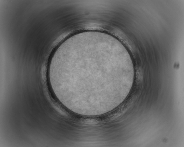 X0000102350533200808291203