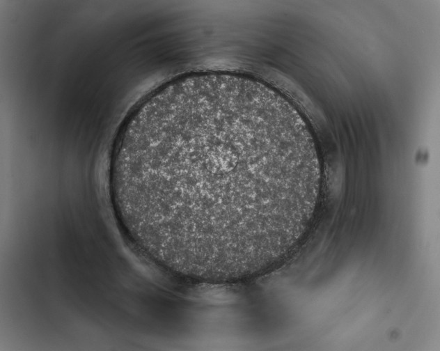 X0000102350534200808291203