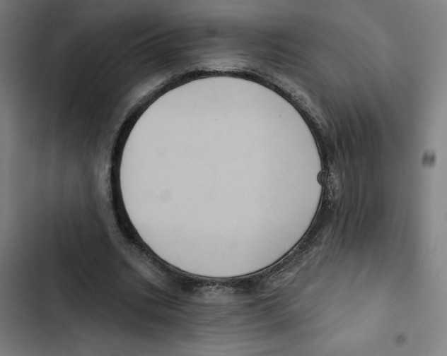 X0000102350535200808291203