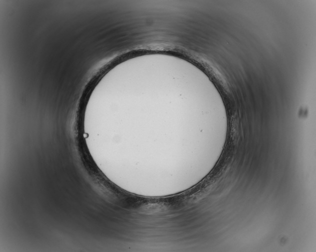 X0000102350536200808291203