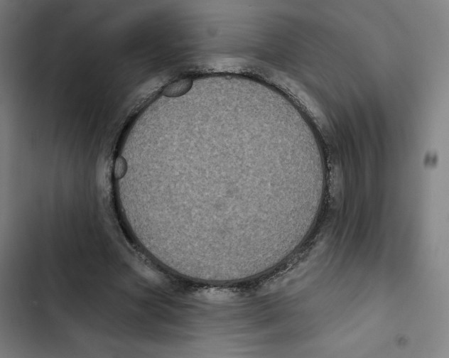 X0000102350537200808291203
