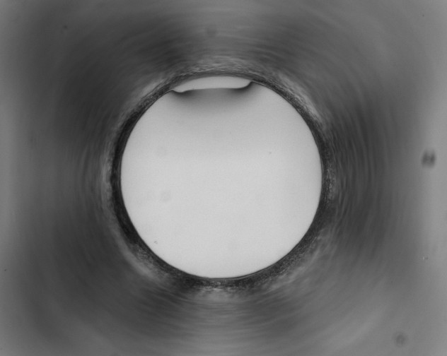 X0000102350538200808291203