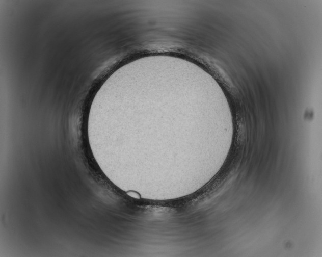 X0000102350539200808291203