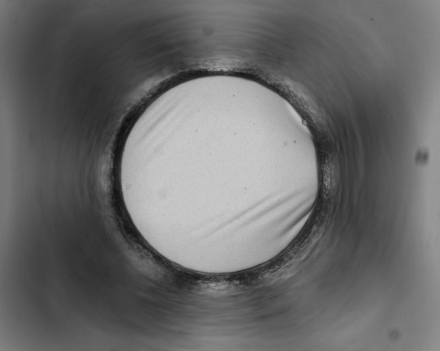 X0000102350540200808291203