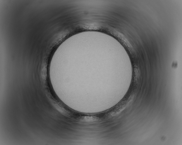 X0000102350541200808291204