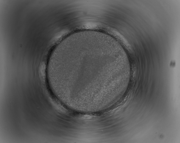 X0000102350542200808291204