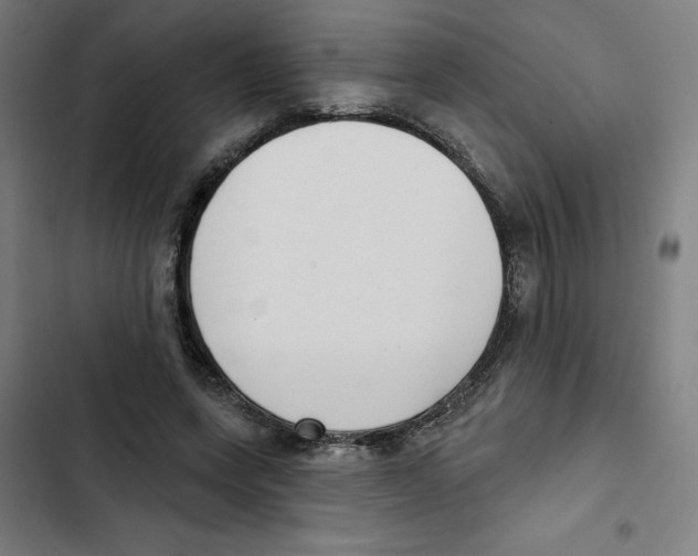 X0000102350543200808291204