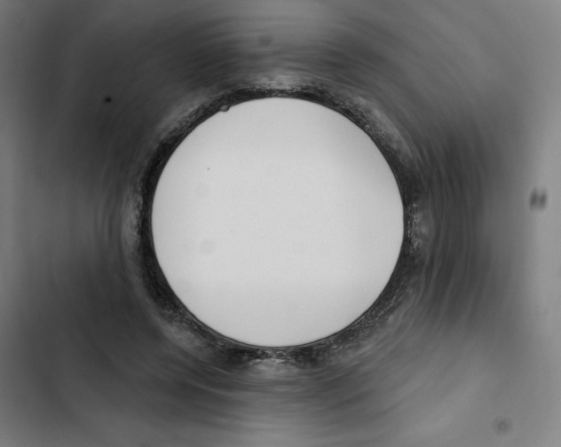 X0000102350544200808291204