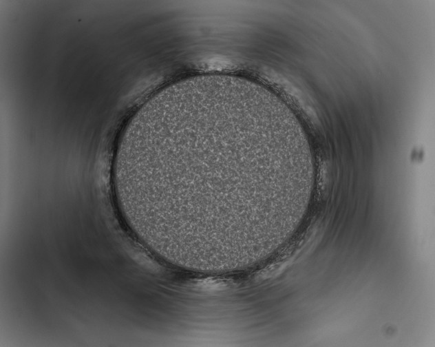 X0000102350545200808291204