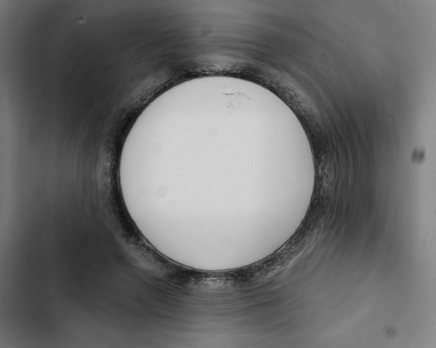 X0000102350546200808291204