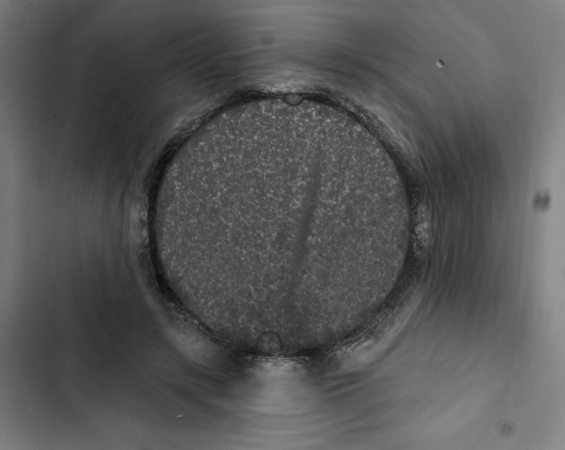 X0000102350547200808291204