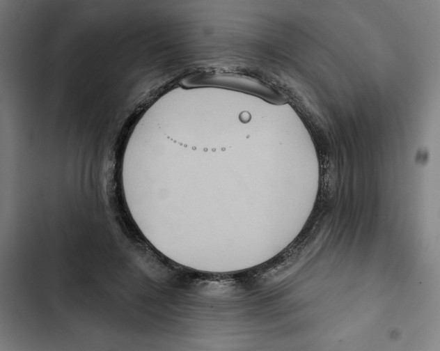 X0000102350548200808291204