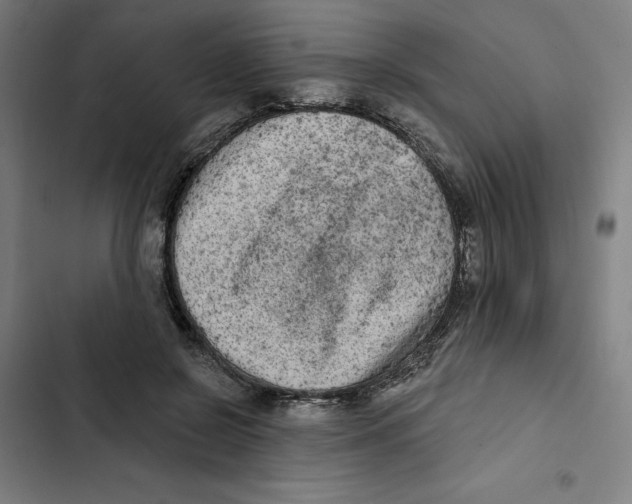X0000102350550200808291204