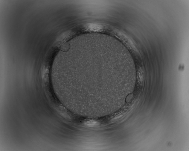 X0000102350551200808291204