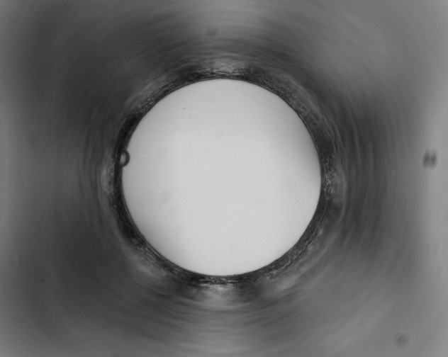 X0000102350552200808291204