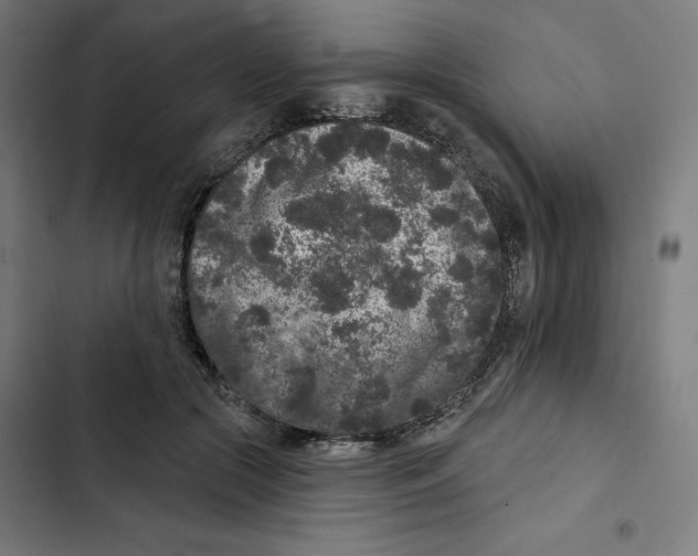 X0000102350553200808291204