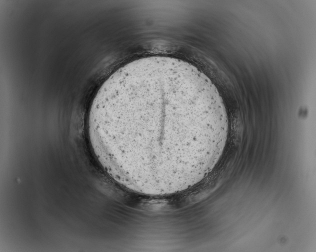 X0000102350554200808291204