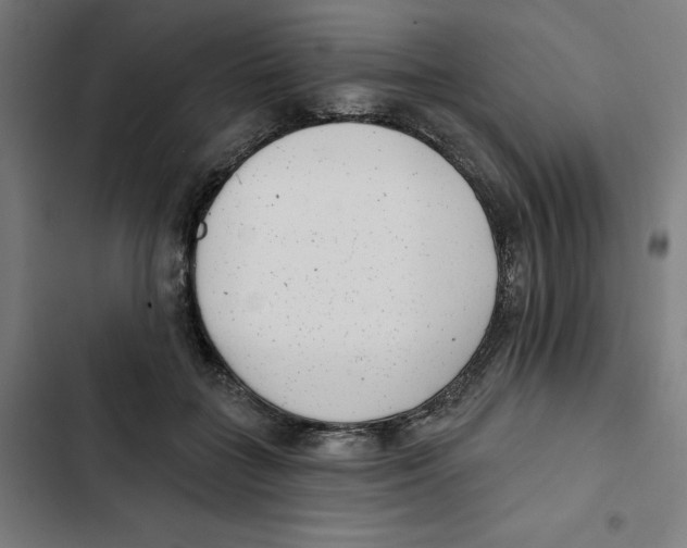 X0000102350555200808291204