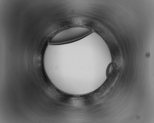 X0000102350556200808291204