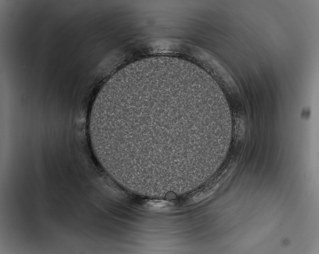 X0000102350557200808291204