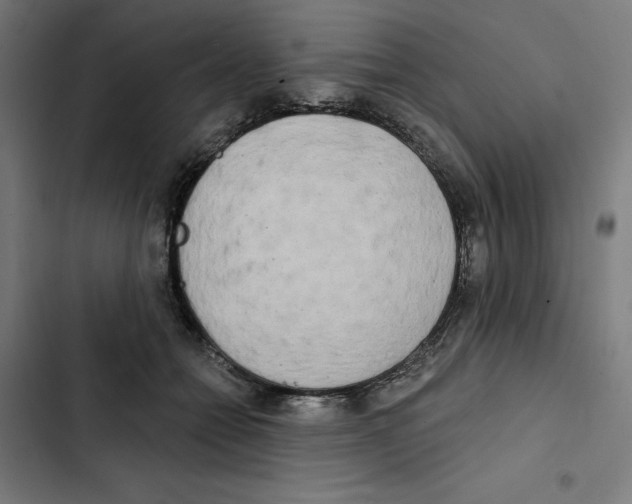 X0000102350558200808291204