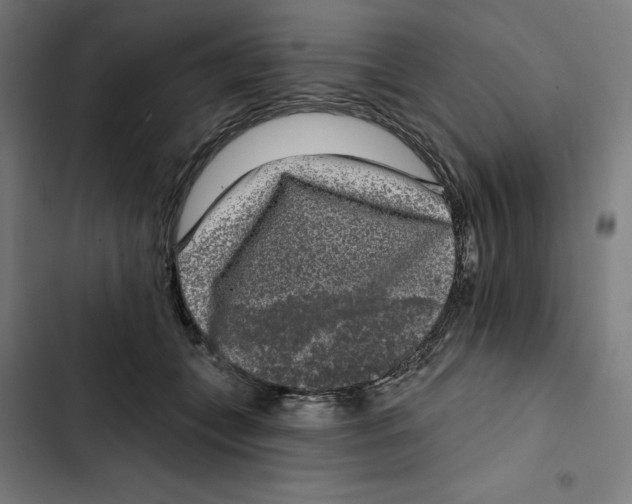 X0000102350559200808291204