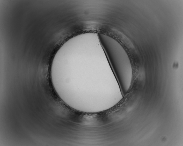 X0000102350560200808291204