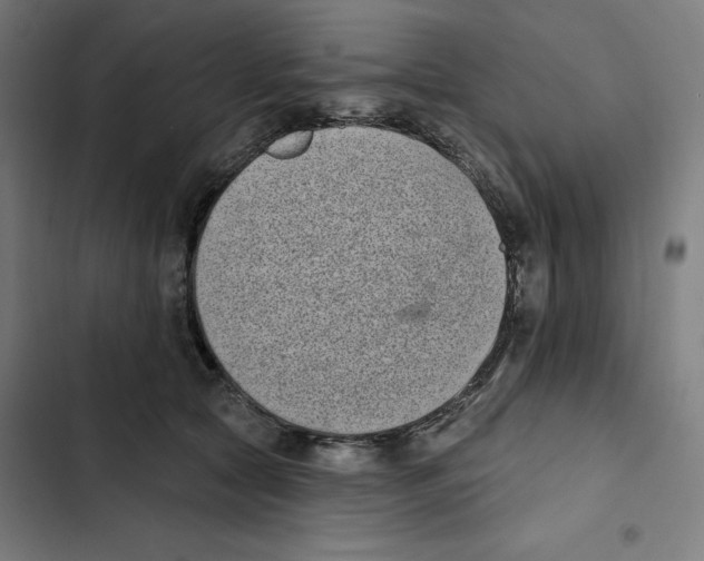 X0000102350561200808291204