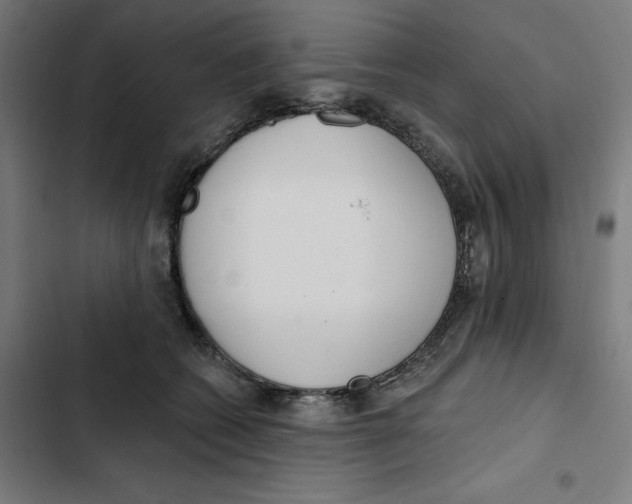 X0000102350562200808291204