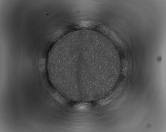 X0000102350563200808291204