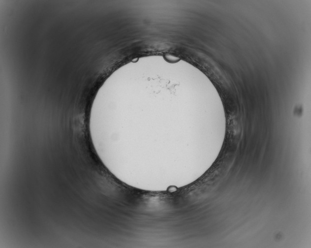 X0000102350564200808291204