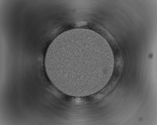 X0000102350565200808291204