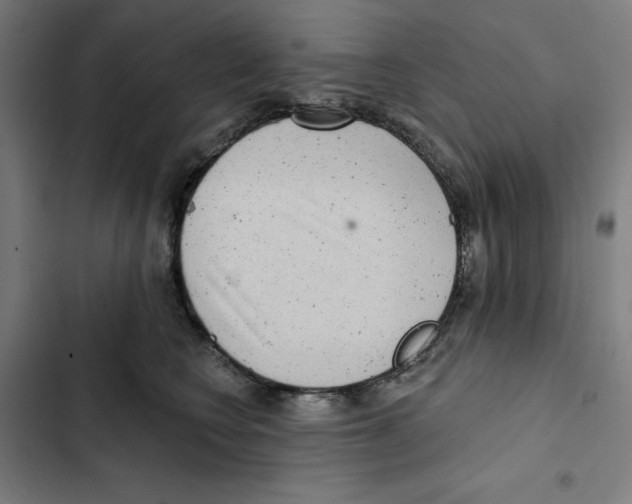 X0000102350566200808291204