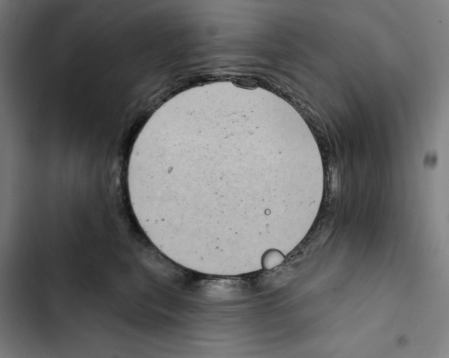 X0000102350567200808291204